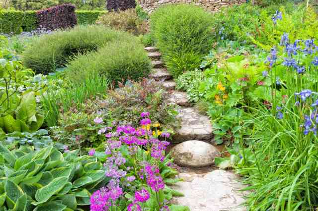 Choosing the Right Plants for Elegant and Low-Maintenance Garden Edges