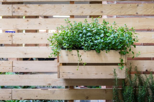 The Ultimate DIY Pallet Garden Wall You Can Complete Over the Weekend
