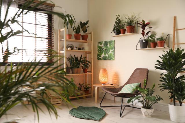 How Using Plants as Room Dividers Can Transform Your Living Space