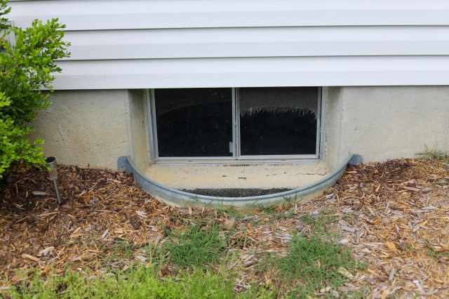 The Benefits of Sealing Exterior Gaps to Keep Pests at Bay